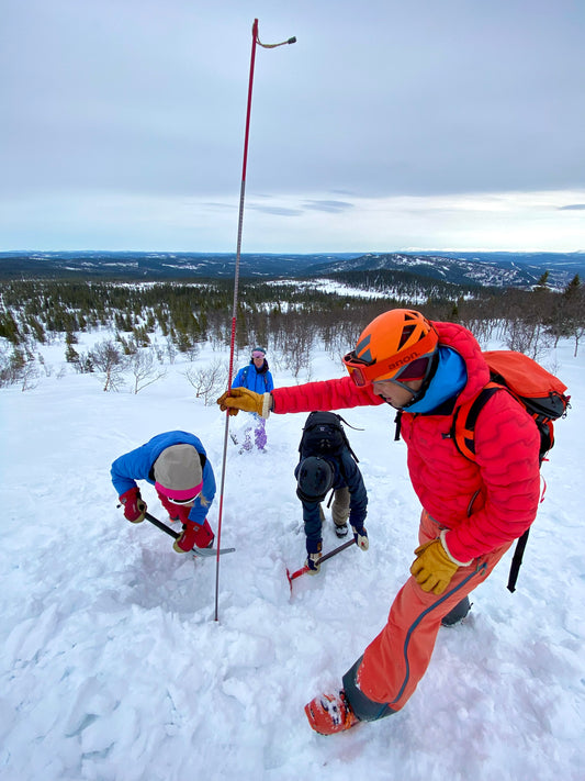 Avalanche course SVELAV Pro 1